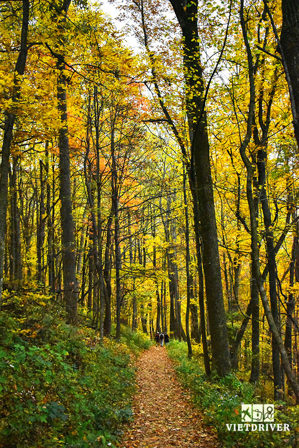 du lịch mỹ bờ đông, tour du lịch mỹ bờ đông