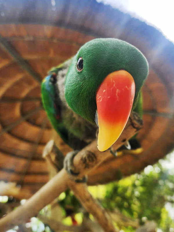 Happy Hollow Park & Zoo