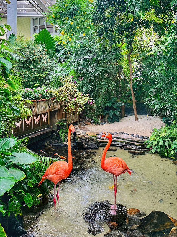 tour đi florida, di flordia my