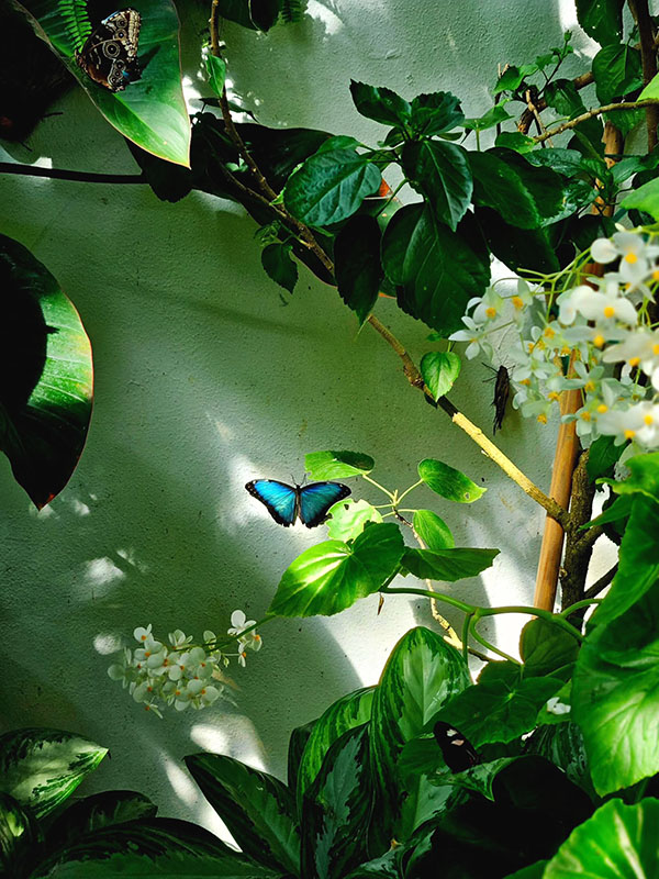 tour đi florida, di flordia my