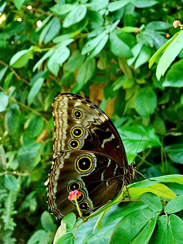 tour đi florida, di flordia my