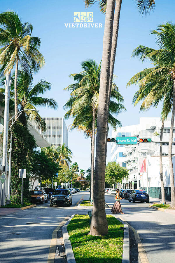 tour florida, florida tour, tour du lịch florida