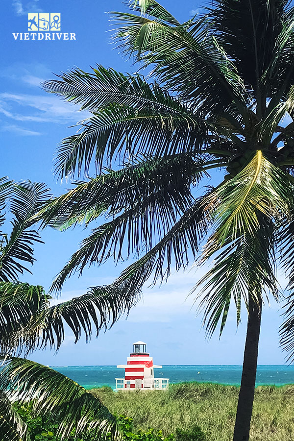 tour florida mỹ, tour du lich florida my