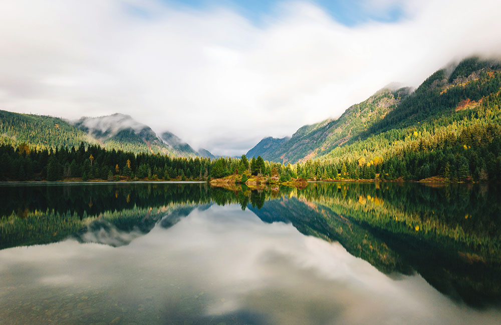 bang washington có gì đặc biệt