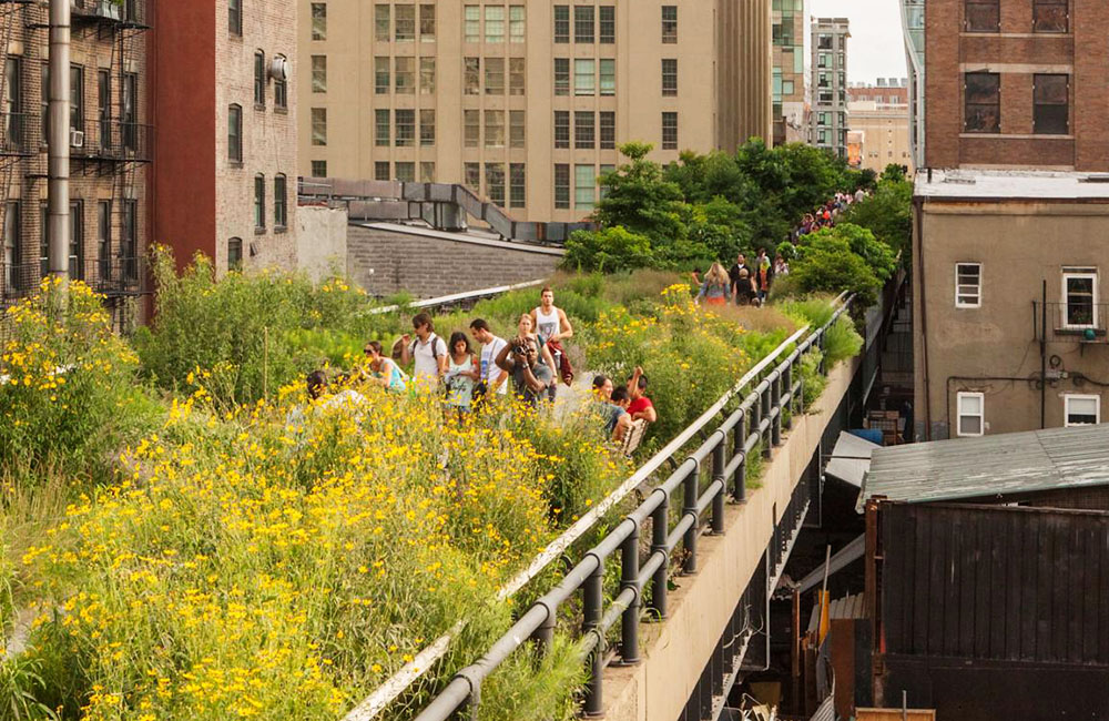 địa điểm tham quan tại thành phố new york