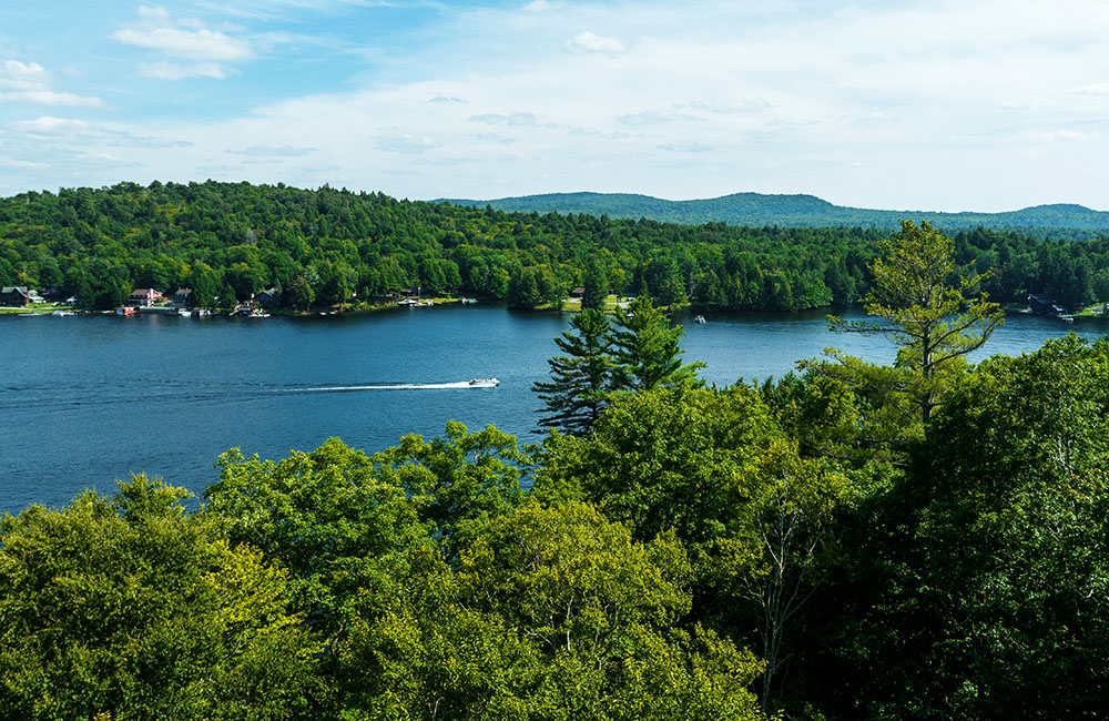 thành phố new york có gì đẹp