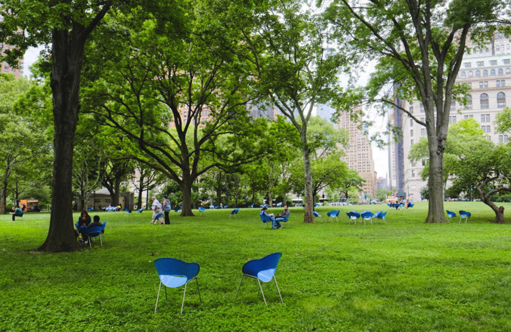 thành phố new york có gì đẹp