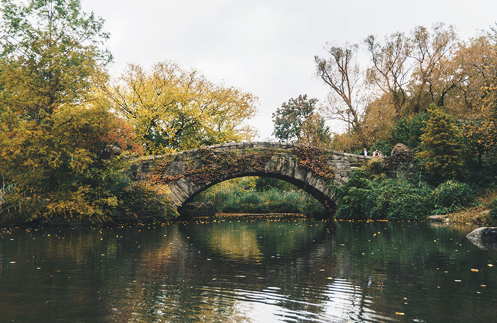 new york thuộc bang nào của mỹ