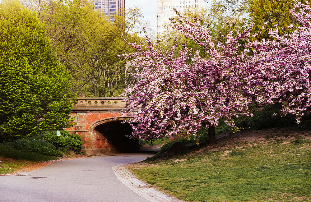 thời tiết new york vào mùa xuân