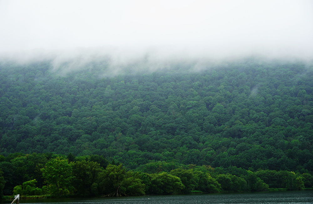 thời tiết tại thành phố new york