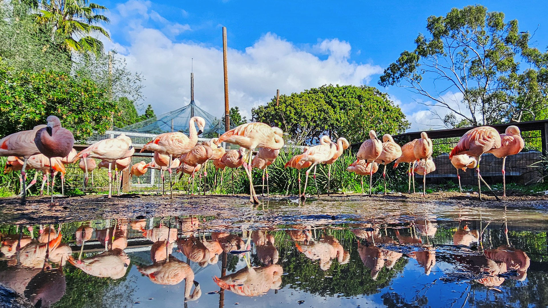 Vườn thú Santa Barbara