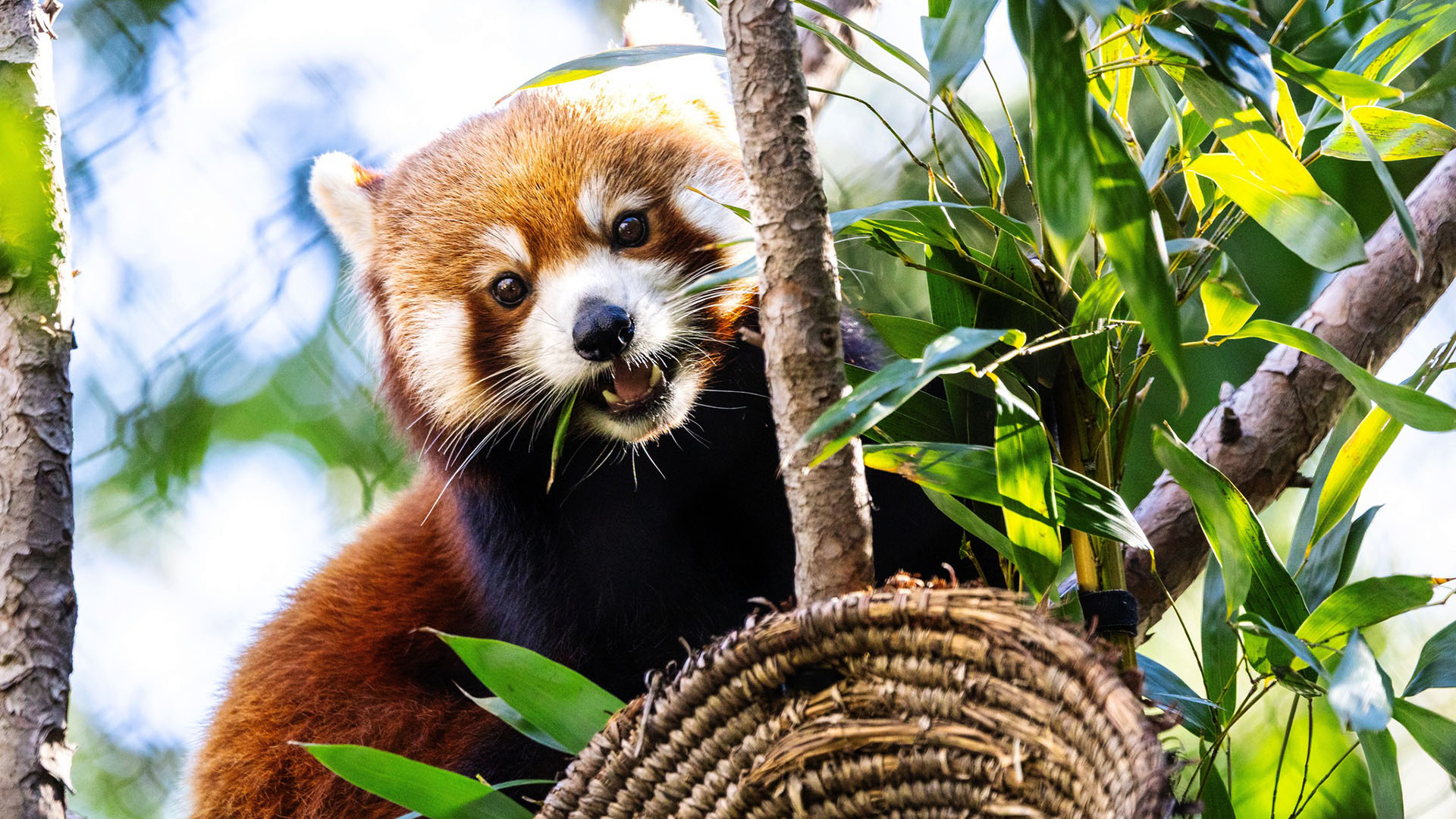 Vườn thú Santa Barbara