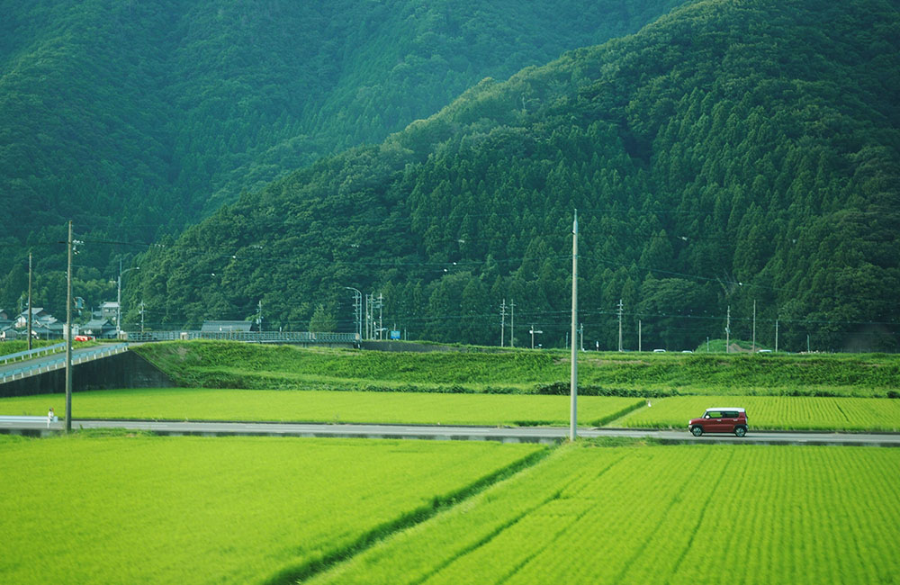 hawaii cách nhật bản bao nhiêu km
