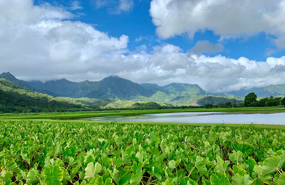 hawaii có mấy đảo